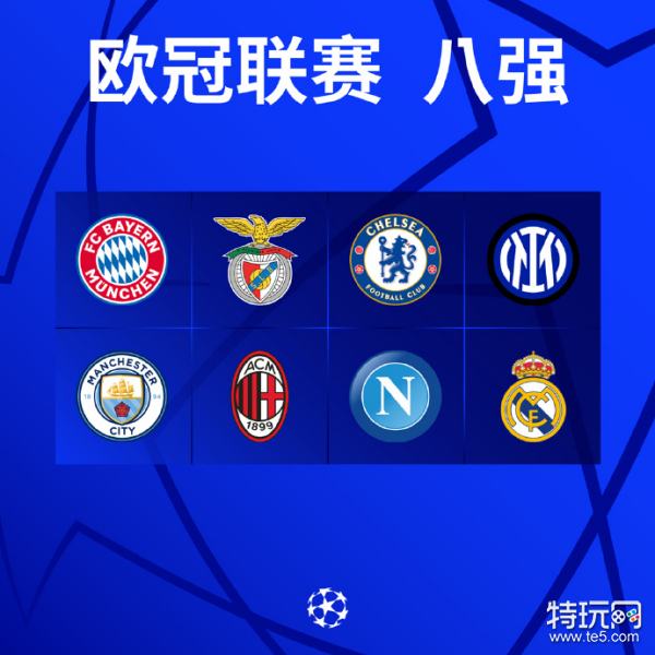 外界对维萨 外界对维萨